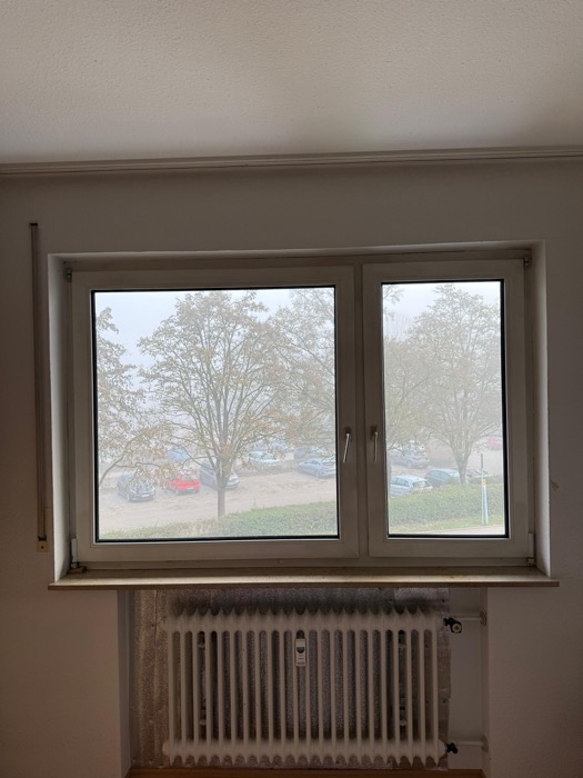 Fensteraustausch