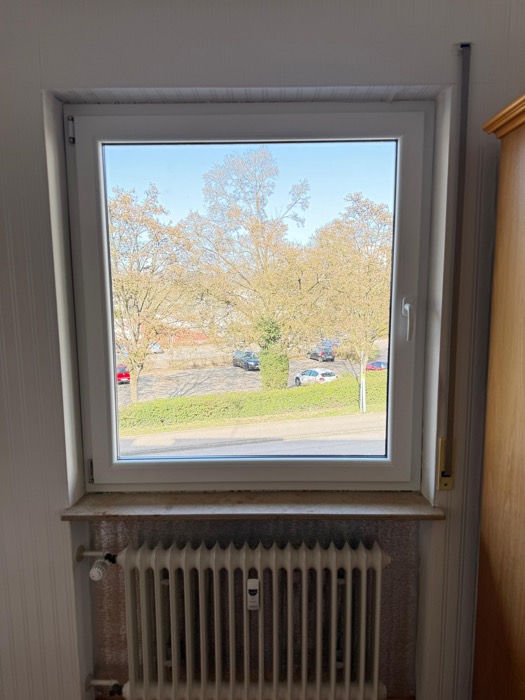 Fensteraustausch